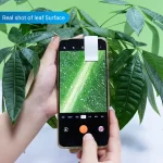 Fotografi av ett grönt blad med smartphone, som fångar ytan av bladet för vetenskaplig analys eller makrofotografi.