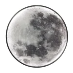 Bild av en realistisk måne som används som vetenskaplig dekoration, perfekt för astronomi- och tematisk inredning.