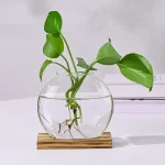 Grön växt i en transparent glasvas fylld med vatten, med synliga rötter, placerad på en träbas.
