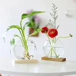 Två glasvaser med växter och blommor, modern vetenskaplig dekoration, ren design, perfekt för ett samtida hem.