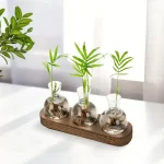 Trio av gröna växter i små glasvaser med vatten, presenterade på en träplanka, naturlig och modern dekoration för inomhusbruk.