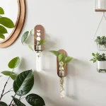 Dekorativa glasvaser inspirerade av vetenskap med gröna växter, perfekta för en modern och naturlig inredning.