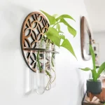 Grön växt hängande i glasrör fästa på en träställning, modern och naturlig dekoration för inomhus.