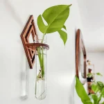 Grön växt i en glasvas fäst på väggen med en träställning, modern och naturlig inredning.