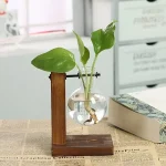 Glasvas med en flytande grön växt, stödd av en trästruktur, placerad på ett bord med tidningar och en bok i en ljus inomhusmiljö.