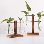 Upphängda glasvaser med träställning för inomhusväxter, modern och elegant botanisk dekoration, idealisk för att försköna ditt vardagsrum eller arbetsutrymme.