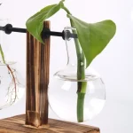 Grön växt i en laboratorieflaska i glas fylld med vatten, upphängd av en träställning, som illustrerar en vetenskaplig och naturlig dekoration.