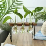 Set av tre gröna växter i hängande glasflaskor, perfekta för modern och naturlig inredning. Idealisk för att ge en fräsch touch till ditt vardagsrum.