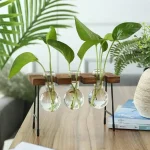 Gröna växter i små hängande glasflaskor, dekoration i vetenskaplig och modern stil.