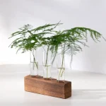 Glasvaser som innehåller grönbladiga grenar, placerade på en naturlig träbas, elegant och modern dekoration för hemmet eller kontoret.