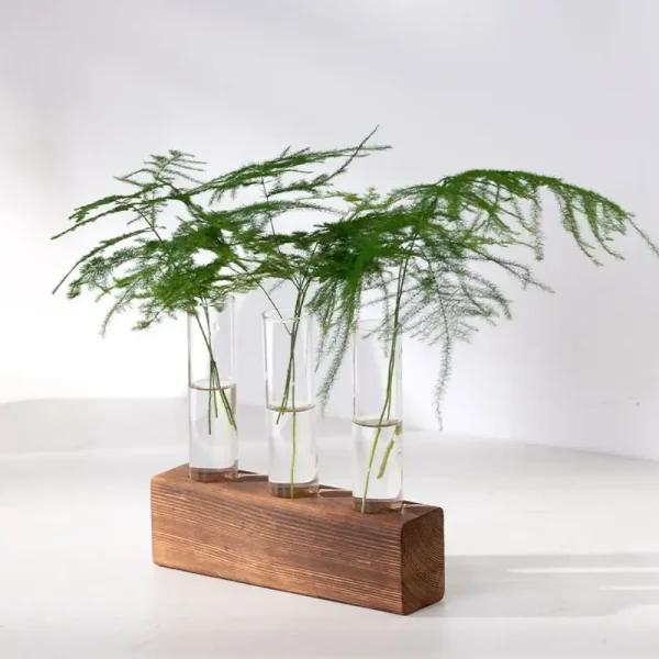Glasvaser som innehåller grönbladiga grenar, placerade på en naturlig träbas, elegant och modern dekoration för hemmet eller kontoret.