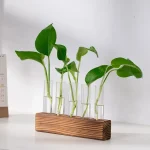 Gröna växter i glasprovrör fästa på en träställning, som illustrerar en naturlig och modern vetenskaplig dekoration.