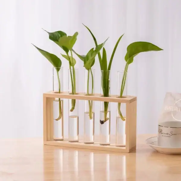 Vas med provrör med gröna växter i en träställning, modern och naturlig vetenskaplig dekoration.