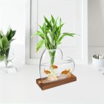 Vattenväxt i glasvas med röda fiskar, vetenskaplig dekoration för inredning, modern och elegant design.
