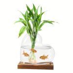 Transparent glasvas som innehåller en grön växt och tre röda fiskar simmande i vattnet, placerad på en bas av trä.