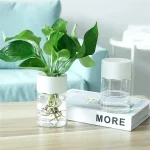 Transparent vas med grön växt och glas med vatten på ett träbord, modern och naturlig dekoration för inomhus.