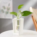Vas i form av ett vetenskapligt rör med en grön växt med stora blad, modern och originell dekoration för en elegant inredning.