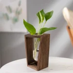Trävas med en grön växt med stora blad, naturlig och modern dekoration för inredning.