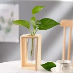 Trävas med en grön växt med stora blad i en modern inredning, naturlig och elegant dekoration.