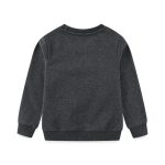 Grå sweatshirt för barn i ekologisk bomull, bekväm och mjuk, idealisk för höst och vinter, med noggrant utförande och avslappnad stil.
