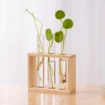 Set med tre växter i glas med synliga rötter, presenterade i en träställning, naturlig och modern dekoration.