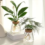 Dekorativa glasväxter för inomhusbruk, perfekta för hem- eller kontorsinredning, som tillför en naturlig och elegant touch till ditt utrymme.