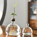 Ung växt i tillväxt i en transparent glasflaska, som representerar natur, liv och ekologi, perfekt för vetenskaplig eller utbildningsdekoration.