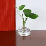 Transparent glasvas med en grön växt med breda blad, placerad på en ljus träyta, med en vit bakgrund och en rödrandig struktur.