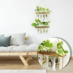 Inredning med växter i hängande burkar, som ger en naturlig och modern touch till rummet. Perfekt för en trendig och ekologisk inredning.