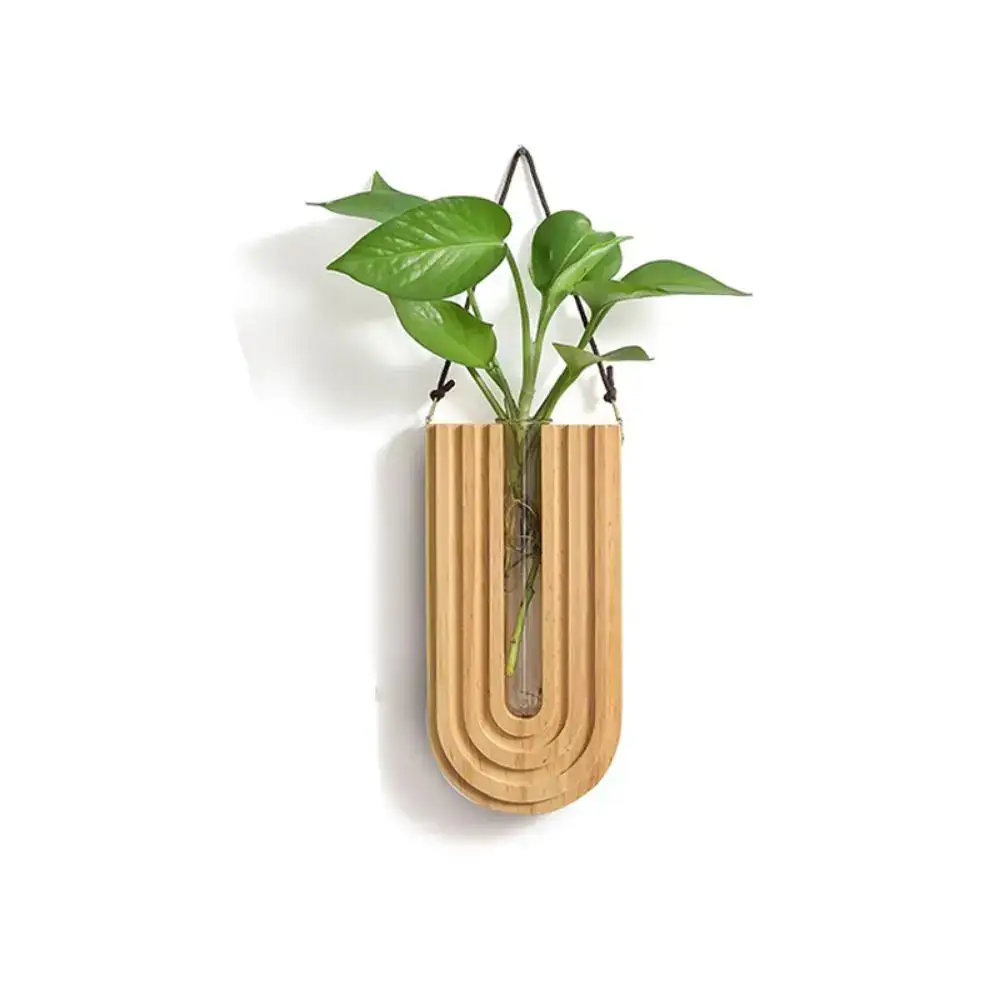 Grön växt hängande i en designad träställning, perfekt för inredning med en vetenskaplig och modern touch.
