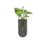 Grön växt hängande i en glasvas i form av ett vetenskapligt rör, originell dekoration för ett hem inspirerat av vetenskap och natur.